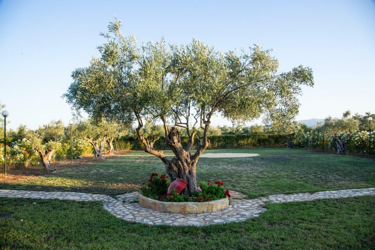 Apartamento Agroktima Elia Nauplia Exterior foto